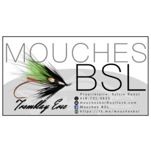 Mouches BSL